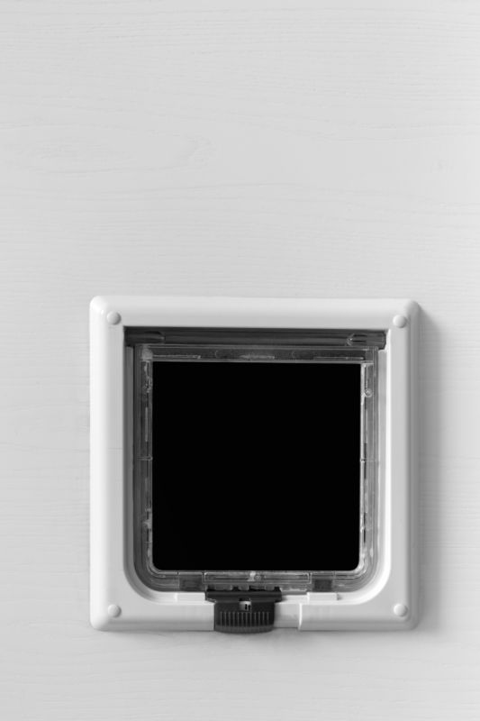 Pet Door Installation in a Wall