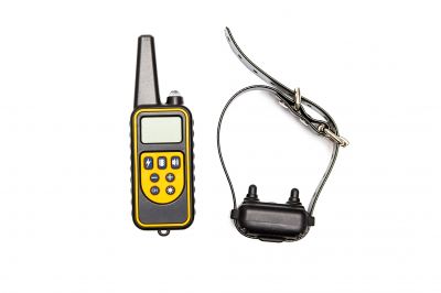 Electronic Pet Access